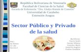 Sector Público y Privado de la Salud
