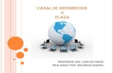 Plaza o Canal De Distribucion -