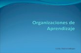 Organizaciones  en Aprendizaje