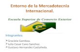 Entorno Mercadotecnia Internacional