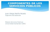 Componentes de los servicios publicos