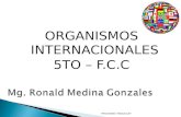 S.a. 2   organismos internacionales