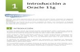Oracle Spatial de la A a la Z - Unidad 1