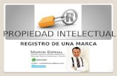 Propiedad Intelectual, Registro de una Marca, Honduras, Marvin Espinal