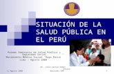 SITUACION DE LA SALUD PUBLICA EN EL PERU - DR. CASTRO GOMEZ