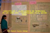 Capacitación y transferencia de tecnología de los camélidos sudamericanos en el sector rural
