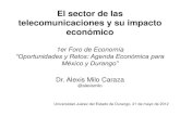 El sector telecomunicaciones y su impacto económico