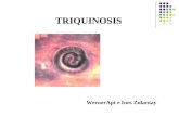 Clase triquinosis
