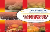 Boletín virtual "Lambayeque Exporta Ya"- Edición 17 febrero 2011