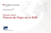 Estudio plazos de pago B2B España Iberinform - Crédito y Caución