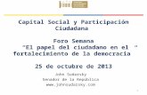 Capital social y participación ciudadana