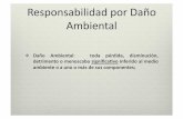 Daño ambiental. Clase D