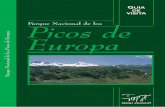 Guia oficial de Picos de Europa
