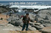 Guinno En Isla Negra 2