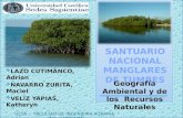 Santuario nacional manglares de tumbes