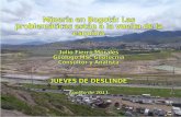 Minería en Bogotá: Las problemáticas están a la vuelta de la esquina