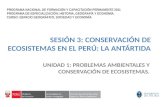 Conservación de Ecosistemas en el Perú: La Antártida