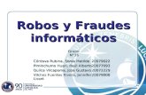 Robos Y Fraudes Informáticos