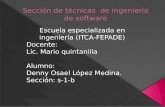SeccióN De TéCnicas  De IngenieríA De Software(2007)