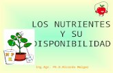 Los Nutrientesysu Disponibilidad (Visita Melgar)