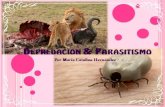 Depredación y parasitismo