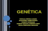 Genetica!! (1)