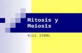 3 mitosis y_meiosis