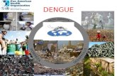 Dengue manejo clinico ops