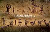 El Homo erectus