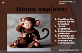 Cmc 1er Trimestre Homo Sapiens[1]