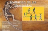 Trabajo De La Evolucion Humana... Hominidos