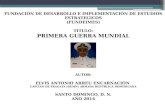 PRIMERA GUERRA MUNDIAL (IWW) POR EL CAPITÁN DE FRAGATA, ELVIS ABREU ENCARNACIÓN, (DEMN) ARMADA REPÚBLICA DOMINICANA.