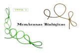 Membranas biologicas