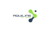 Aquiline ict group