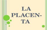 Diapositivas de placenta obstetricia