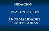 PlacentacióN, Fisiologia Y Anormalidades Placentarias