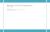Antologia redes convergentes (4)