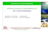 Informe  Diagnóstico  Ambiental  César  Manrique