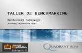 Taller de Benchmarking (Montserrat Peñarroya)