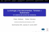 Subversion: La tortuga y sus documentos