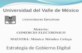 Gobierno digital en_mexico