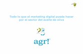 Marketing Digital e Innovación en el sector del Aceite de Oliva