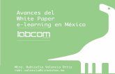 white paper e-learning en México