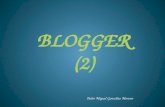 Blogger (2)