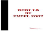 Biblia De Excel 2007 E Book