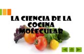 La ciencia de la cocina molecular