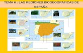 Las regiones biogeográficas de Èspaña. Tema 6  de Geografía 2º Bach.
