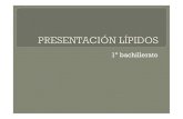 Presentation lipidos