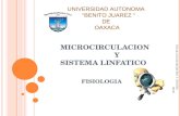 Microcirculacion Y Sistema Linfatico