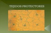 Tejidos protectores